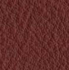 Leder cognac