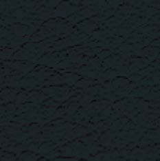 Leder schwarz
