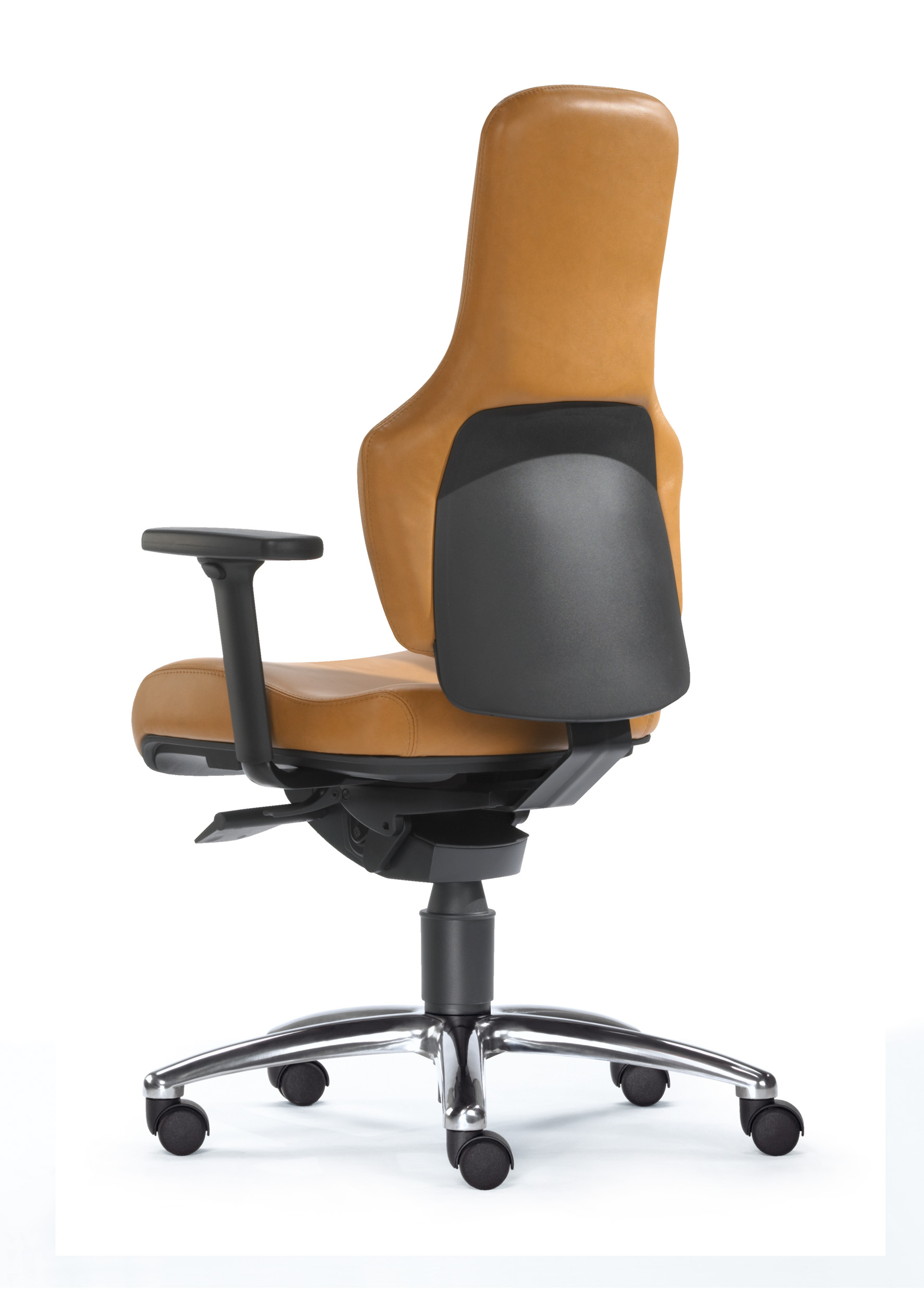 SITWELL STEIFENSAND Ortholetic Balance M