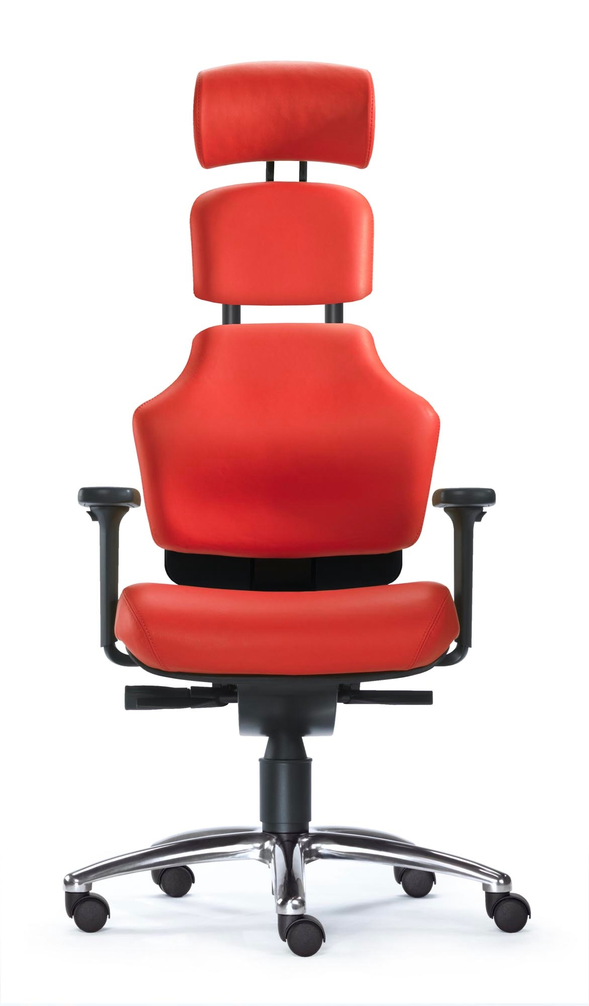 SITWELL STEIFENSAND Earth L