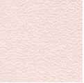 Stamskin blush